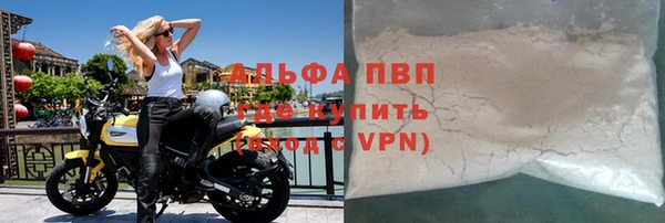 прущие грибы Красноперекопск