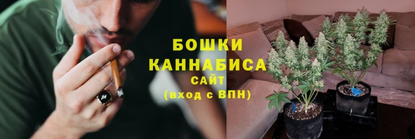 сатива Корсаков