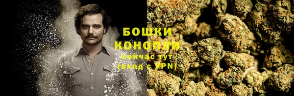 прущие грибы Красноперекопск