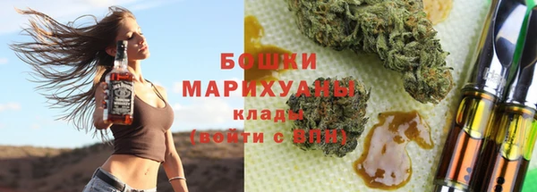 прущие грибы Красноперекопск