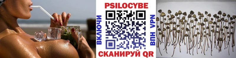 Купить  Пионерский  Псилоцибиновые грибы ЛСД 